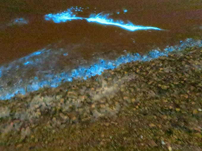 ルアーを動かすと…