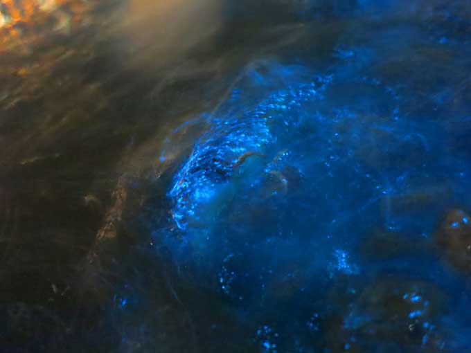 ファンシースーサン