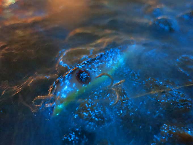 ファンシースーサン