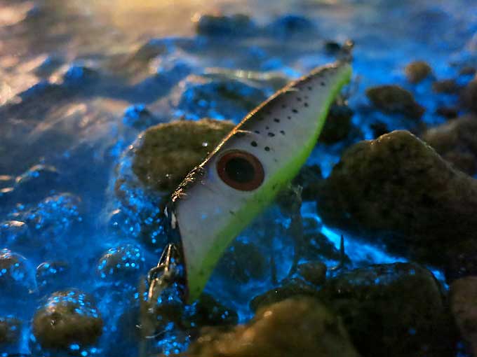 ファンシースーサン