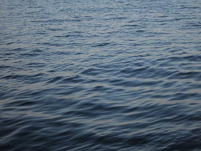 オープンウォーター