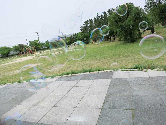 綺麗なしゃぼん玉