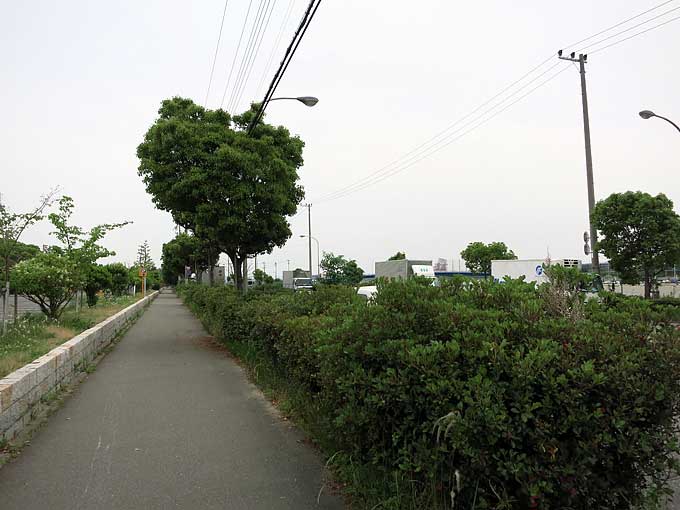 兵庫県立甲子園浜海浜公園