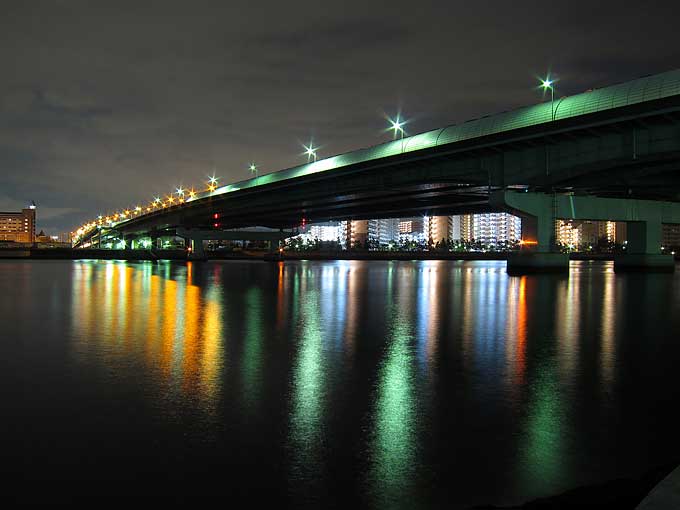シーバスは身近で釣れる