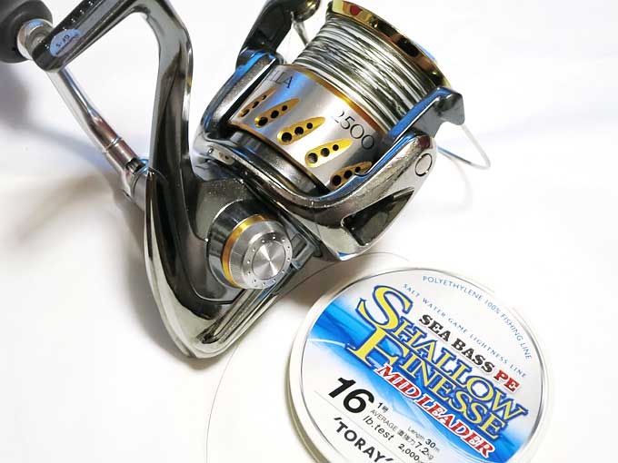 ミッドリーダー完了