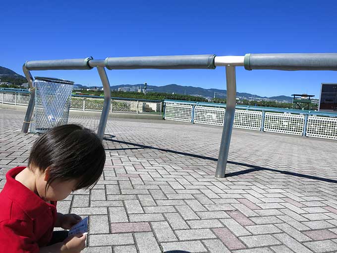 競馬場でよく見る風景