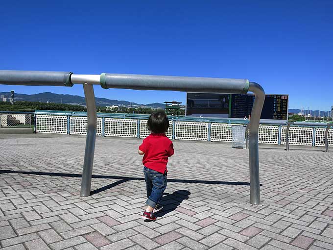 競馬場でよく見る風景