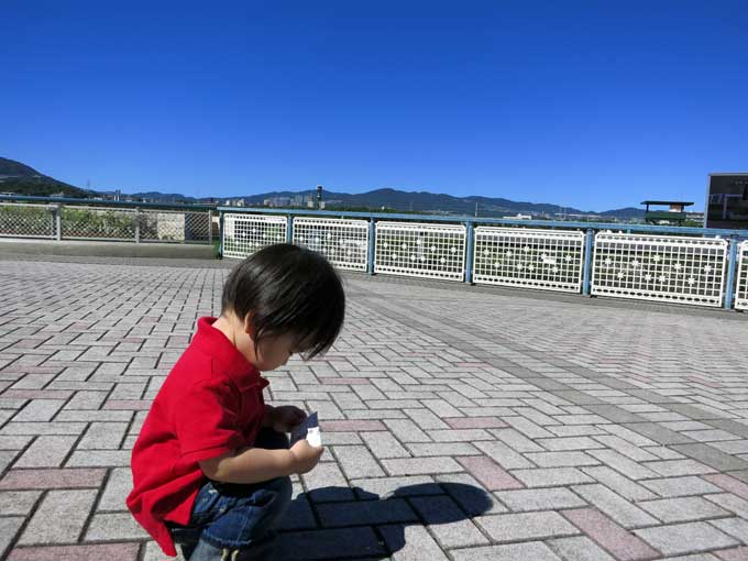 競馬場でよく見る風景