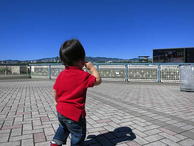 競馬場でよく見る風景