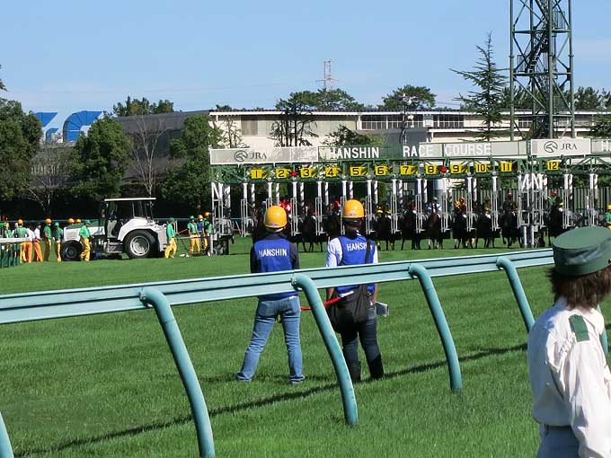 スタートしました!!