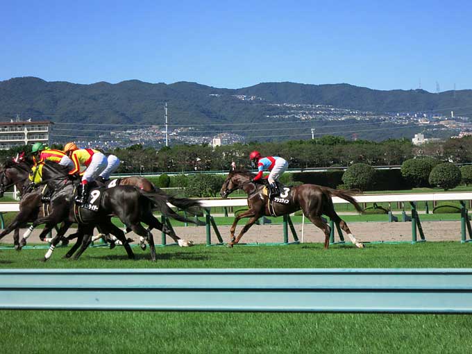 目の前を走り抜ける