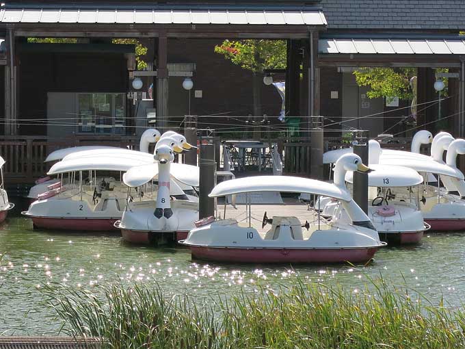 スワン乗り場へ向かって