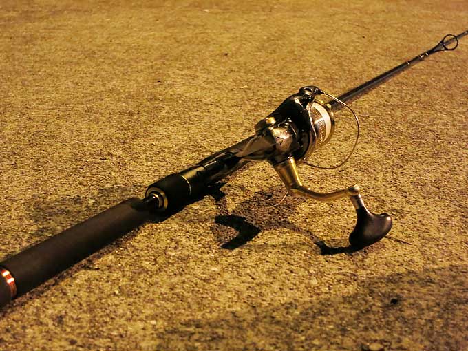 短期放牧明け第一戦