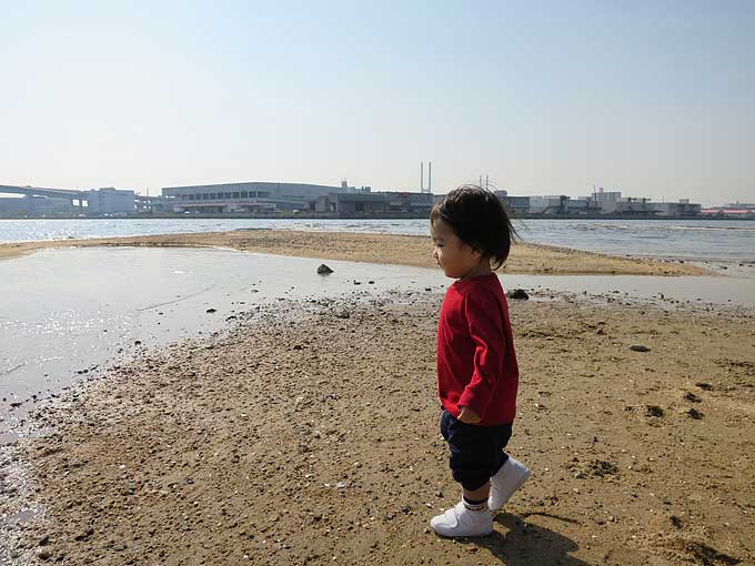 芦屋川河口に到着