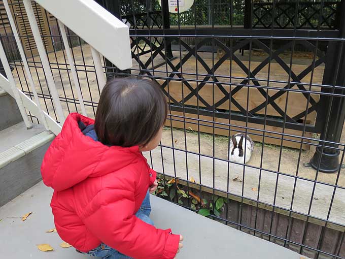 ウサギと語り合う