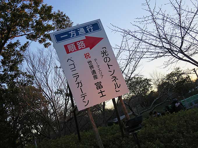 イルミネーション案内