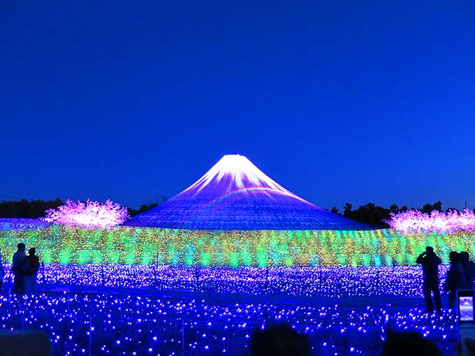 ウィンターイルミネーション・富士山