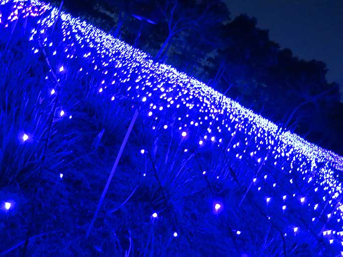 イルミネーション