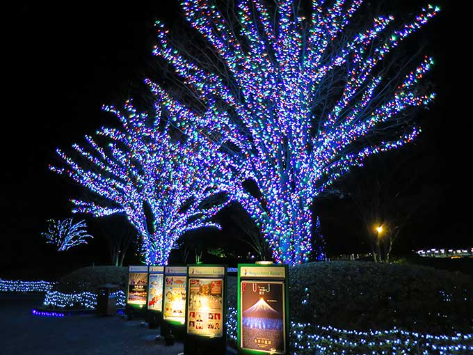 なばなの里・ゲート前