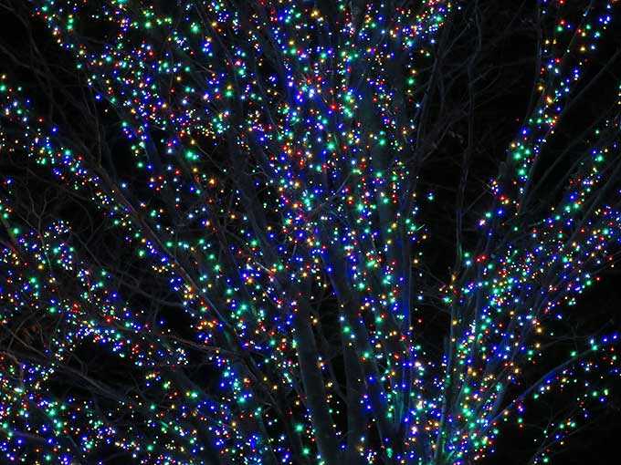 なばなの里・ゲート前