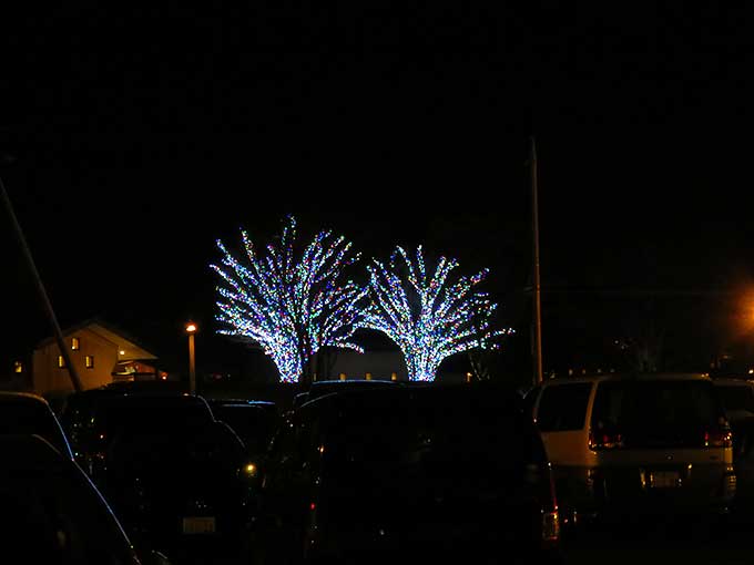 なばなの里・帰り