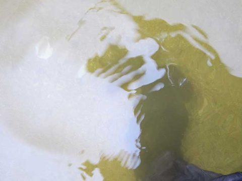 シーバス釣りウェーディングの実釣まとめ編!!