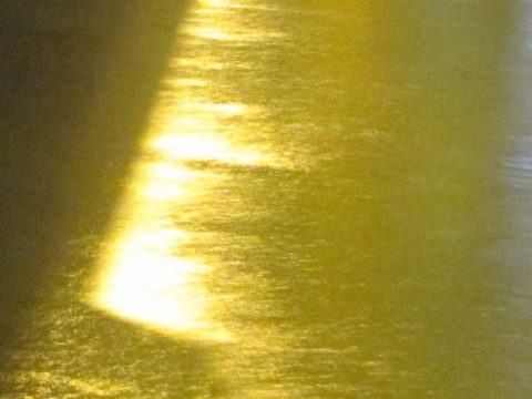 大雨後や降雨中のルアー釣りは釣れるのか