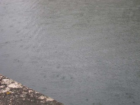 大雨後や降雨中のルアー釣りは釣れるのか