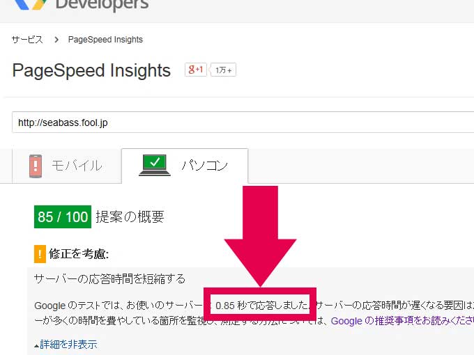 PageSpeed Insights