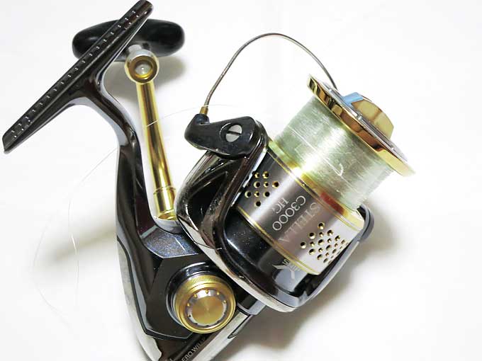 余分なラインをカットしテープでとめる