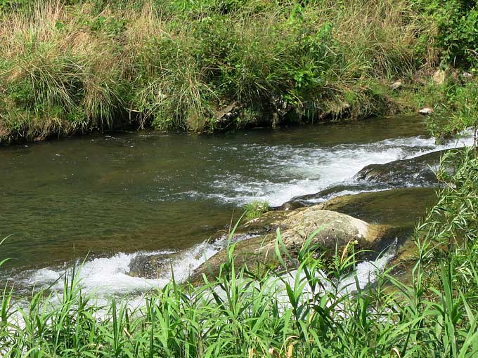 シーバスの釣り方・流れを探す