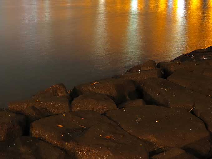 シーバスの釣り方・護岸や足元を探る