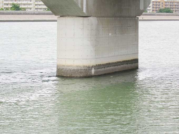 シーバスの釣り方・橋脚のヨレと周辺を探る