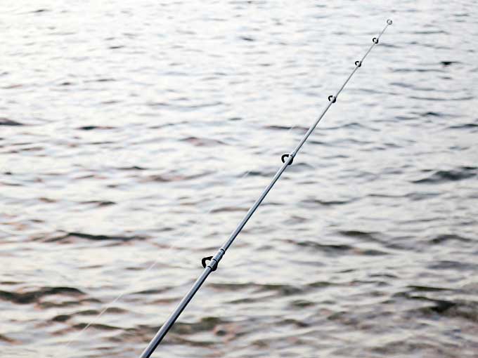 シーバス釣り「アタリ」の感触と種類・前編