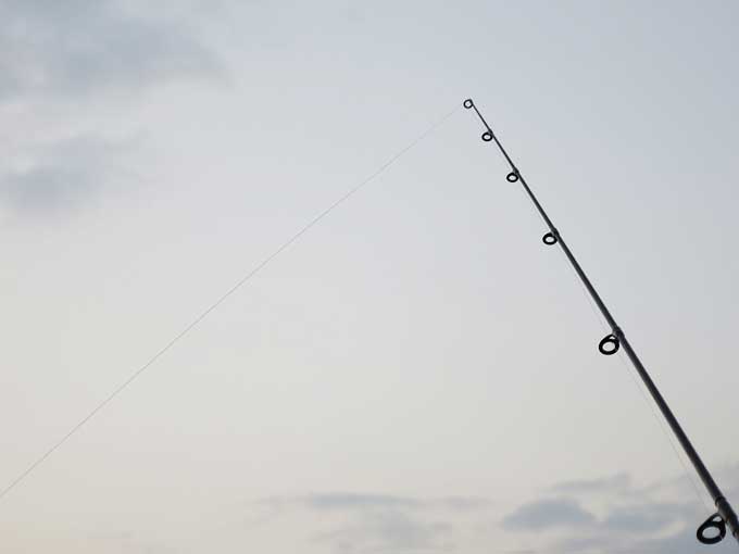 シーバス釣り「アタリ」の感触と種類・後編