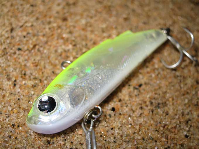 シーバスがバレる理由