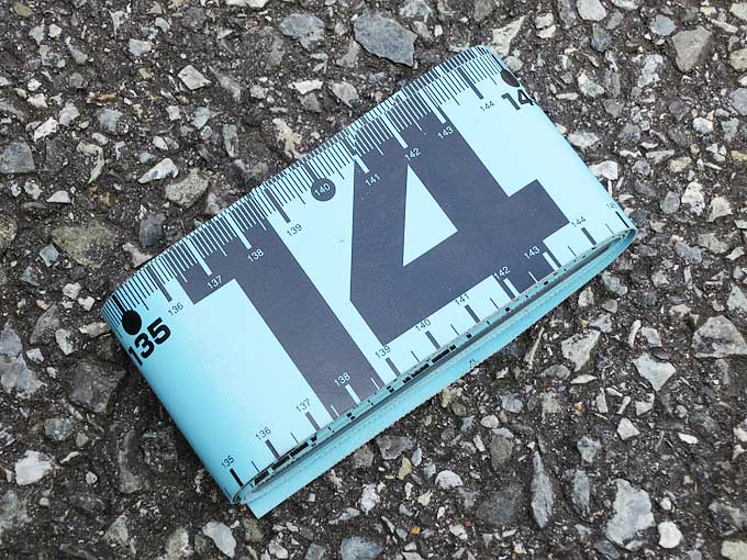 サイズ狙いor数釣り