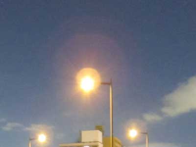 シーバス釣りの明暗の種類