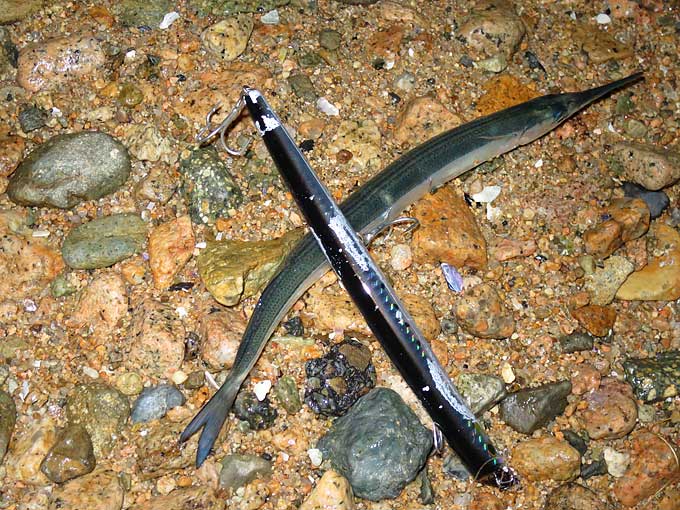 サヨリパターンのルアーとシーバスの釣り方・攻略方法！！