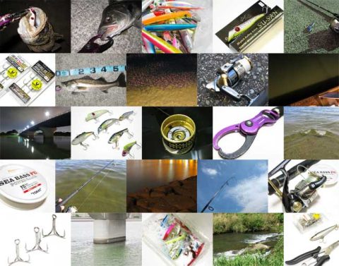 シーバス釣り初心者さんの入門総まとめ!!