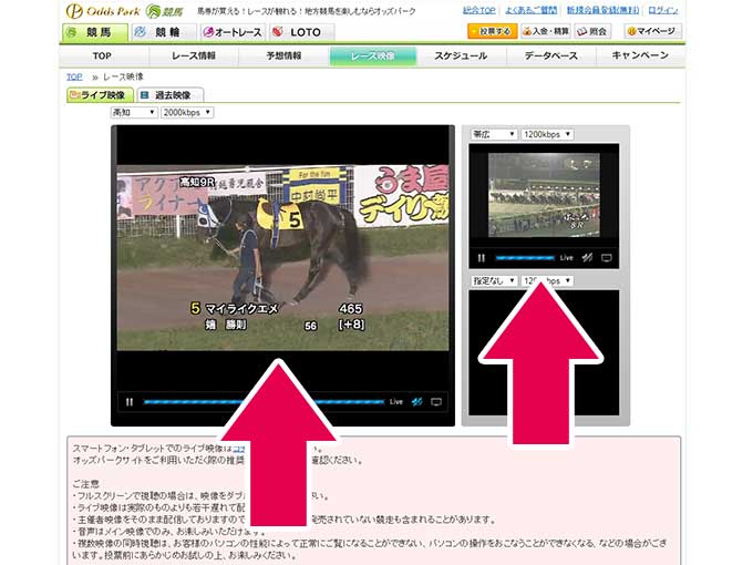 リアルタイム映像