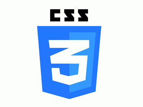 CSS
