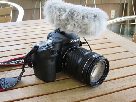 子供を撮影するカメラは一眼かコンデジかミラーレス?どれ?!後編