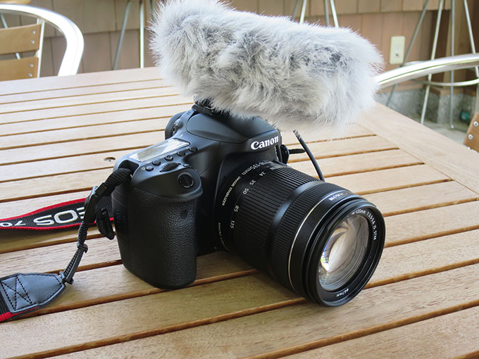 子供を撮影するカメラは一眼かコンデジかミラーレス?どれがいい?!