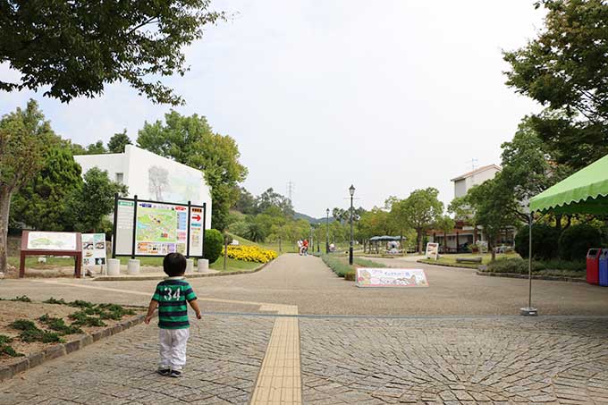 イングランドの丘に到着