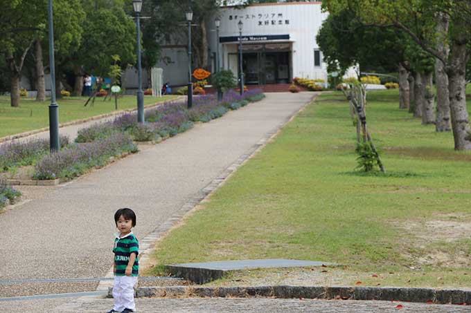 コアラの居るエリアへ