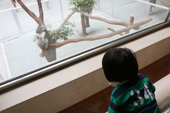 気に入った様子