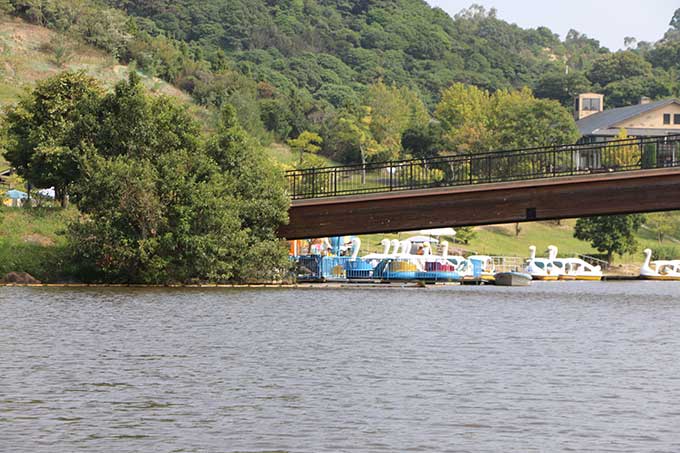 スワンでノンビリ