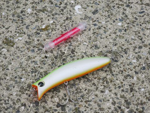 シーバスを釣る為に流れの変化を分かりやすくする