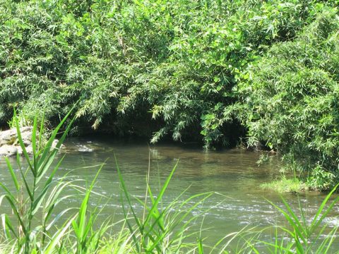 シーバスがルアーに反応する場所を組み立てる